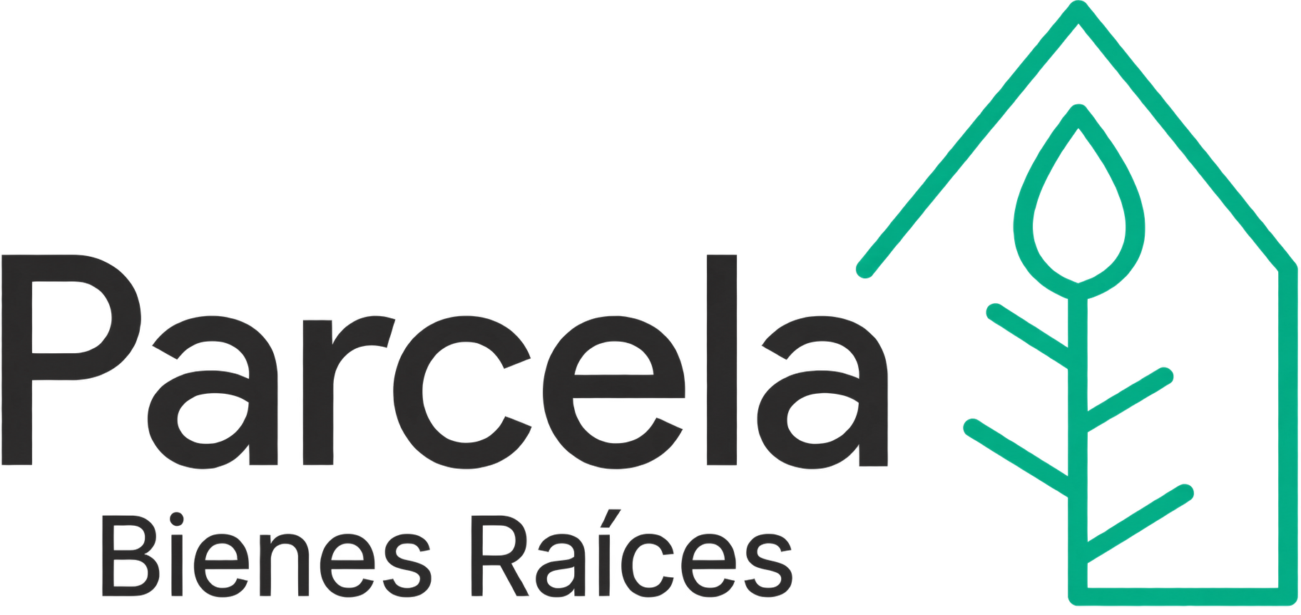 Parcela Bienes Raíces
